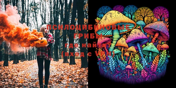 прущая мука Ельня