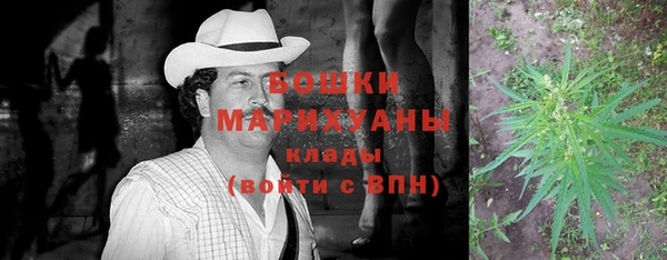 меф Дмитриев
