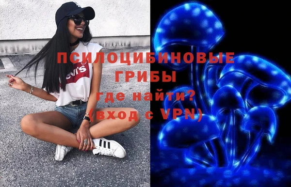 сатива Елабуга