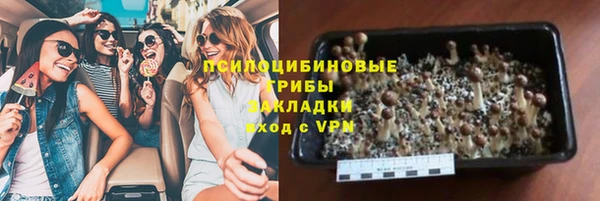 сатива Елабуга