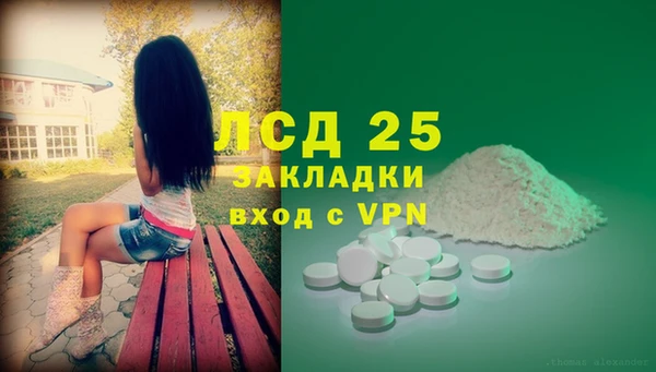 сатива Елабуга