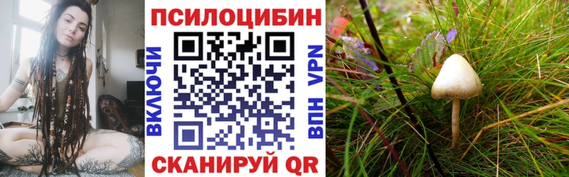 Псилоцибиновые грибы мицелий  Челябинск 