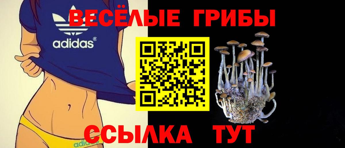 Псилоцибиновые грибы ЛСД  Вход с VPN  Челябинск 